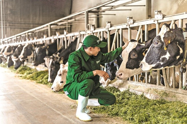 Hệ sinh thái “Nét Zero” đã vượt ra ngoài những trang trại xanh của Vinamilk - ảnh 1