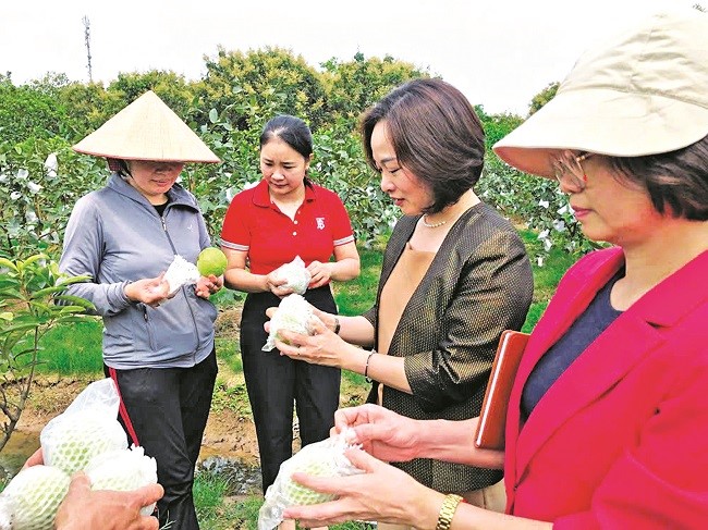 Hà Nội nỗ lực cán đích, hoàn thành xây dựng nông thôn mới - ảnh 2