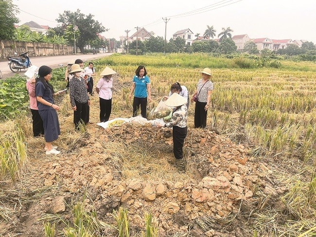 Phụ nữ Thủ đô xây dựng những miền quê đáng sống - ảnh 1