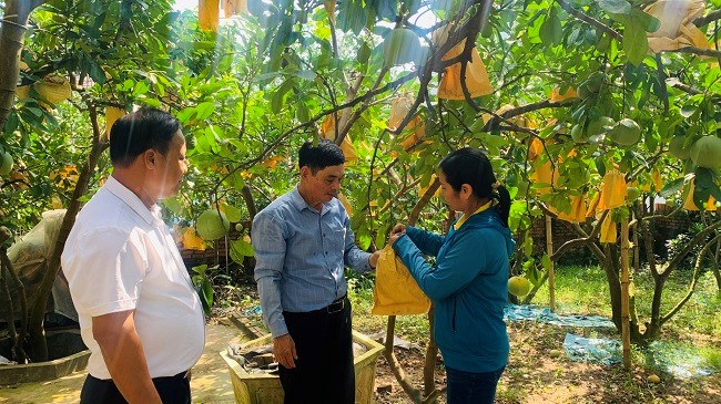 Hà Nội hướng tới nông nghiệp sinh thái, đa giá trị - ảnh 1