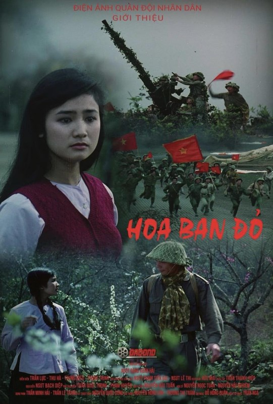 Điện ảnh Quân đội nhân dân tổ chức Tuần phim kỷ niệm chiến thắng Điện Biên Phủ - ảnh 2