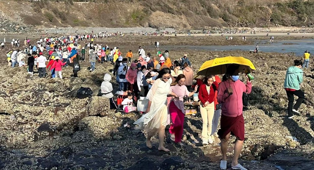 Festival Biển đảo Việt Nam 2024 lần đầu tiên diễn ra ở Vũng Tàu - ảnh 1