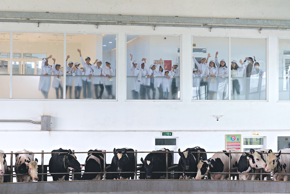 Vinamilk và Quỹ sữa Vươn cao Việt Nam tổ chức nhiều hoạt động đồng hành nhân dịp 15 thành lập - ảnh 6