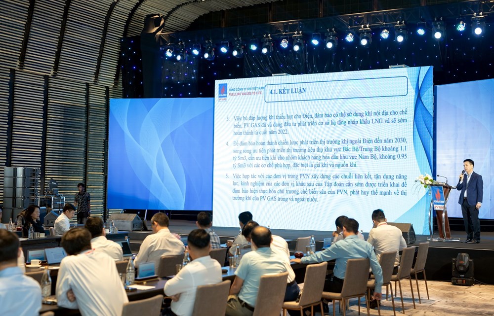 PVN/PV GAS tổ chức thành công hội thảo phát triển thị trường khí  - ảnh 3