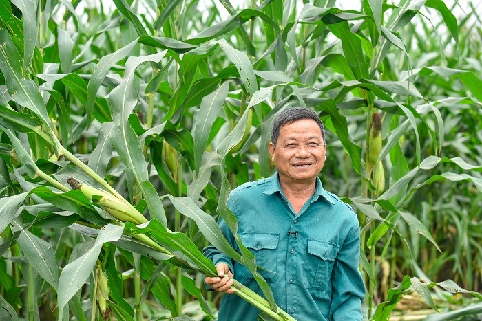 Không thể không làm để đến Net Zero - ảnh 5
