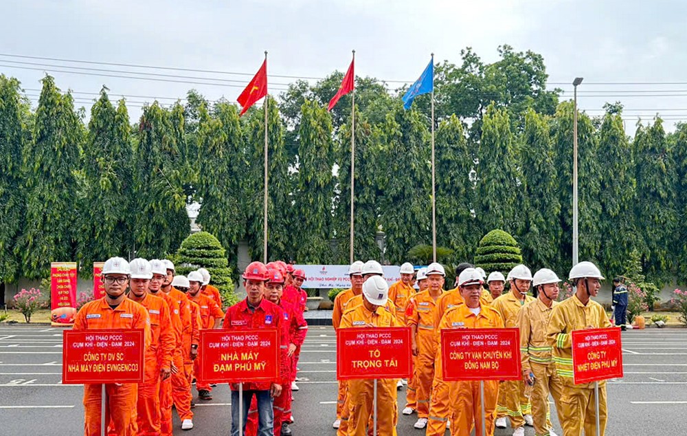 Petrovietnam làm việc với các đơn vị về cân đối cung cầu khí Đông - Tây Nam bộ - ảnh 2
