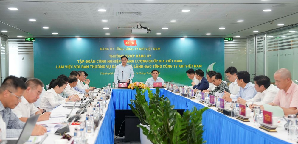 Thường trực Đảng ủy Petrovietnam làm việc với PV GAS - ảnh 1
