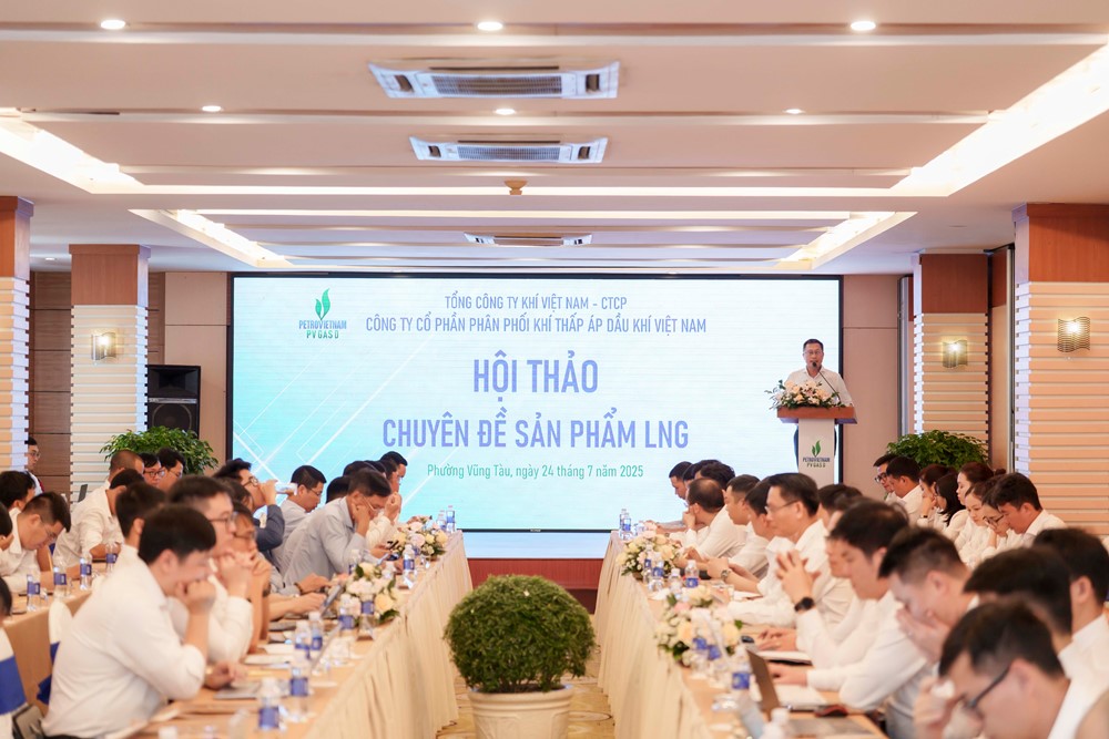 PV GAS D tổ chức Hội thảo chuyên đề sản phẩm LNG, thúc đẩy phát triển thị trường khí sạch - ảnh 1