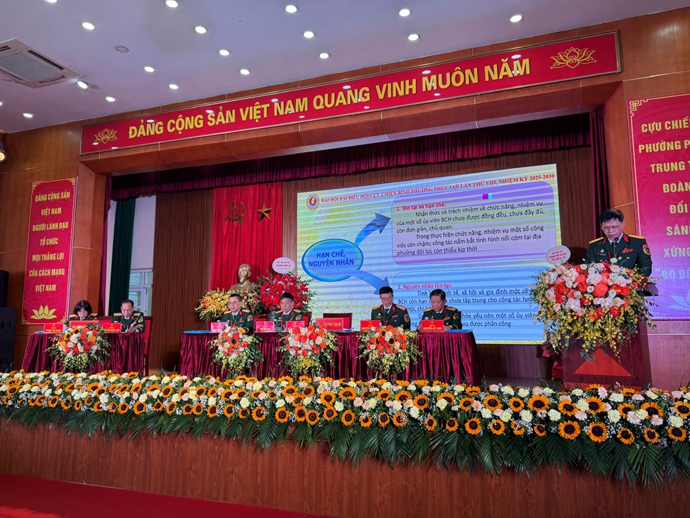 Hội Cựu chiến binh phường Phúc Lợi phát huy tinh thần “Bộ đội cụ Hồ”, xây dựng phường phát triển bền vững - ảnh 2
