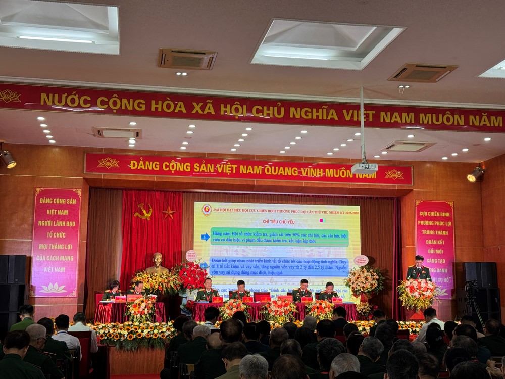 Hội Cựu chiến binh phường Phúc Lợi phát huy tinh thần “Bộ đội cụ Hồ”, xây dựng phường phát triển bền vững - ảnh 3