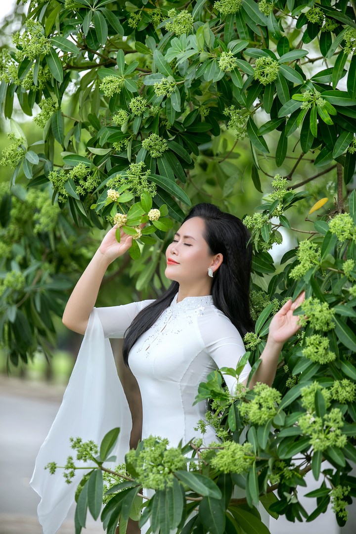 Người đẹp nhân ái Lại Thị Hải Lý diện áo dài trắng khoe sắc bên hoa sữa - ảnh 4