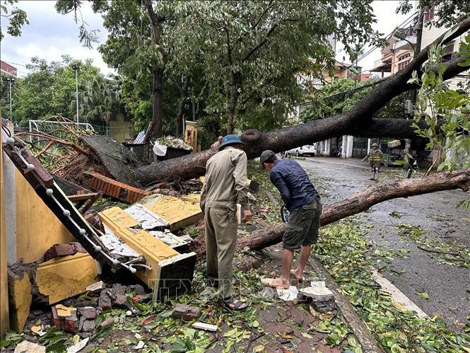 Người dân Thủ đô chung tay khắc phục hậu quả cơn bão số 3 - ảnh 5