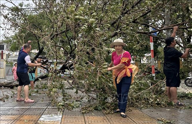 Người dân Thủ đô chung tay khắc phục hậu quả cơn bão số 3 - ảnh 6