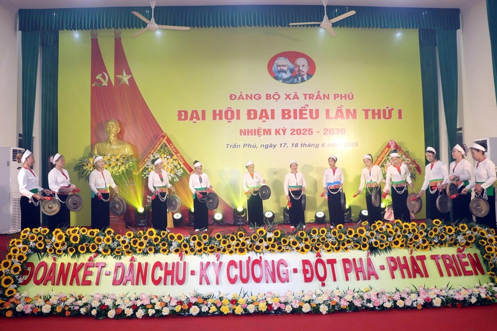 Xã Trần Phú phát huy tiềm năng trở thành vùng trung tâm của hành lang kinh tế nông nghiệp phía Tây Nam Thủ đô - ảnh 4