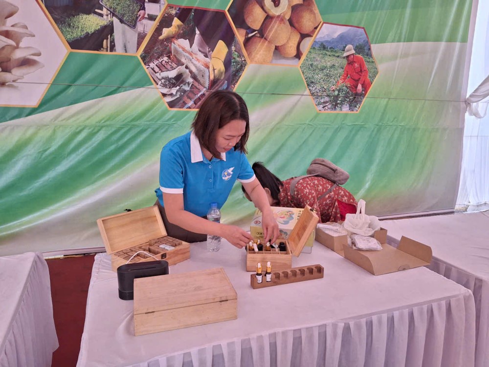 Quảng Bị trưng bày sản phẩm truyền thống và OCOP chào mừng Đại hội Đảng bộ xã lần I - ảnh 11