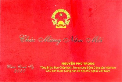 Việt Nam sẽ đảm nhận thành công các trọng trách quốc tế - ảnh 1