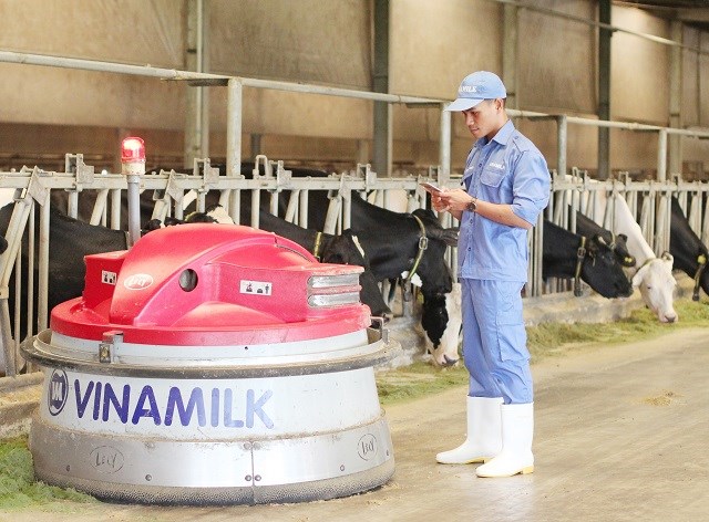 Anh Trần I Giôn hiện đang công tác tại Trang trại bò sữa Tây Ninh của Vinamilk.