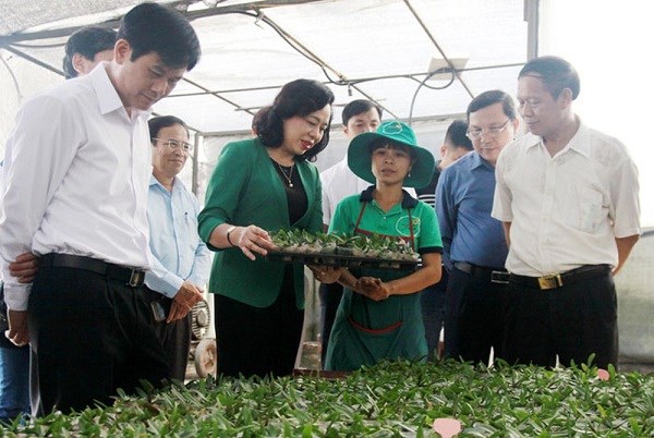 Phó Bí thư Thường trực Thành ủy Hà Nội Ngô Thị Thanh Hằng thăm mô hình trồng hoa công nghệ cao tại HTX Đan Hoài (Đan Phượng)