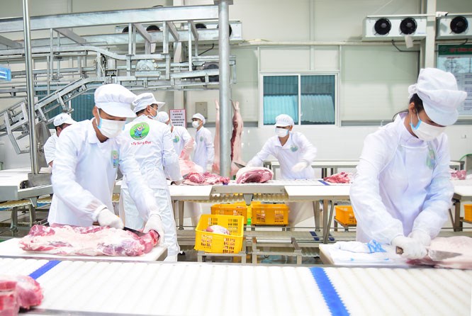Doanh nghiệp giảm giá thịt lợn nhằm bảo đảm hài hòa lợi ích giữa nhà sản xuất, kinh doanh, người tiêu dùng là giải pháp phát triển chăn nuôi bền vững. Trong ảnh: Dây chuyền sản xuất thịt lợn sạch tại Công ty cổ phần Thực phẩm Song Đạt (huyện Thanh Trì)