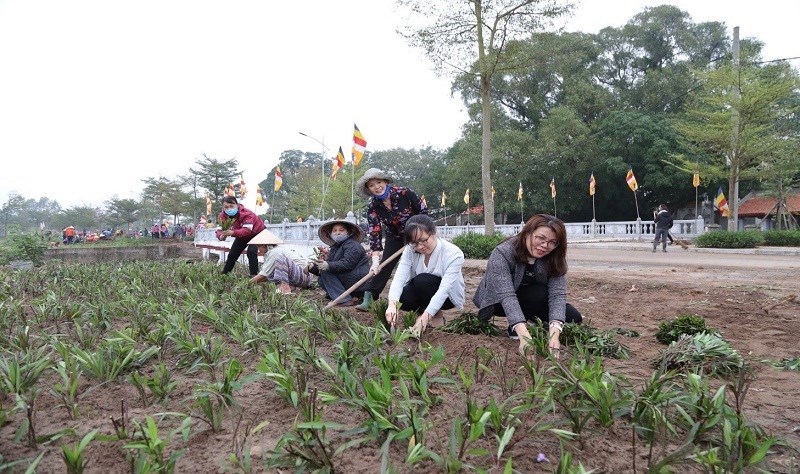 Cán bộ hội viên phụ nữ tham gia trồng cây  ngay sau chương trình phát động