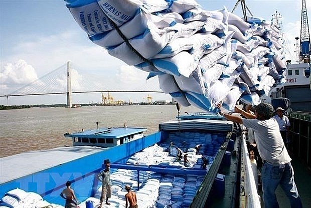 Cân đối khoảng 800 nghìn tấn gạo cho xuất khẩu tới tháng 5 - ảnh 1