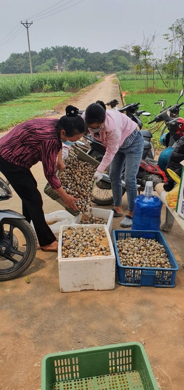 Hội LHPN xã Tráng Việt ủng hộ hội viên phụ nữ xã Mê Linh hơn 4.000 quả trứng vịt... cho người dân thôn Hạ Lôi