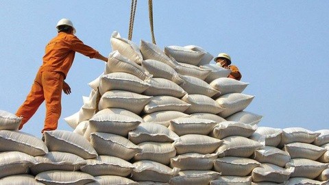 Bộ Công Thương cho biết cần nắm chắc lượng gạo tại các cảng để điều hành xuất khẩu gạo. (Ảnh: Int.) (Ảnh: Int.)