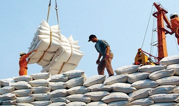 Thanh tra đột xuất việc chấp hành quy định về xuất khẩu gạo - ảnh 1