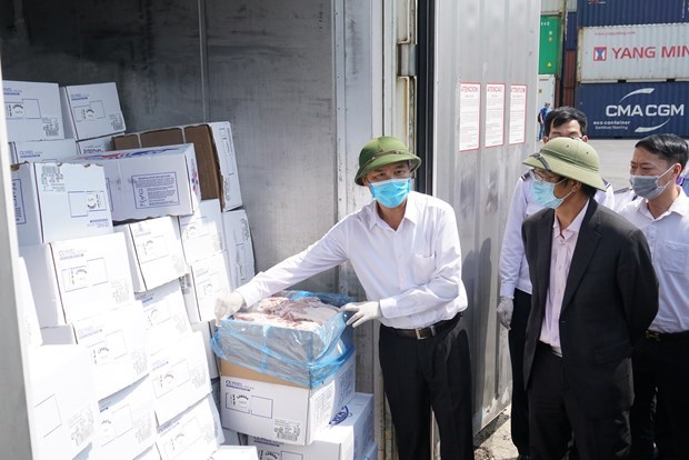 Thứ trưởng Bộ Nông nghiệp và Phát triển nông thôn Phùng Đức Tiến trực tiếp kiểm tra 1 container thịt lợn nhập khẩu tại Cảng Hải Phòng