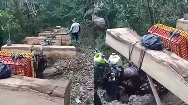 Thủ tướng yêu cầu xử lý nghiêm hoạt động phá rừng tại Kon Tum - ảnh 1
