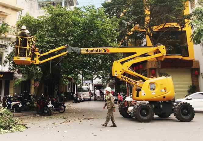 Công nhân Công ty TNHH một thành viên Công viên cây xanh Hà Nội cắt tỉa cây, bảo đảm an toàn mùa mưa bão.
