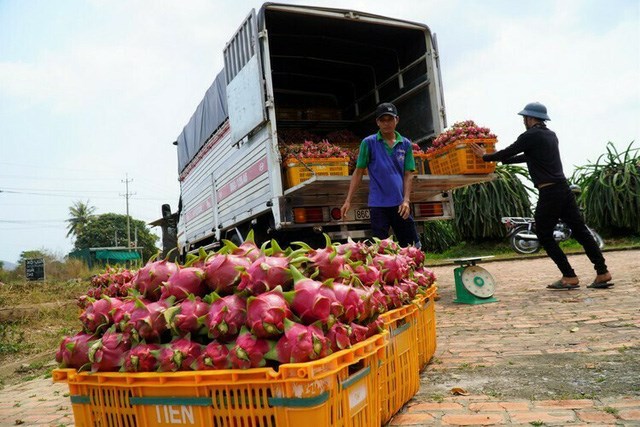 Từ tháng 8/2020, người Hà Nội không cần dùng tiền mặt khi đi chợ - ảnh 1