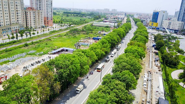 Những hàng cây xanh giúp Hà Nội mát mẻ hơn trong những ngày hè.