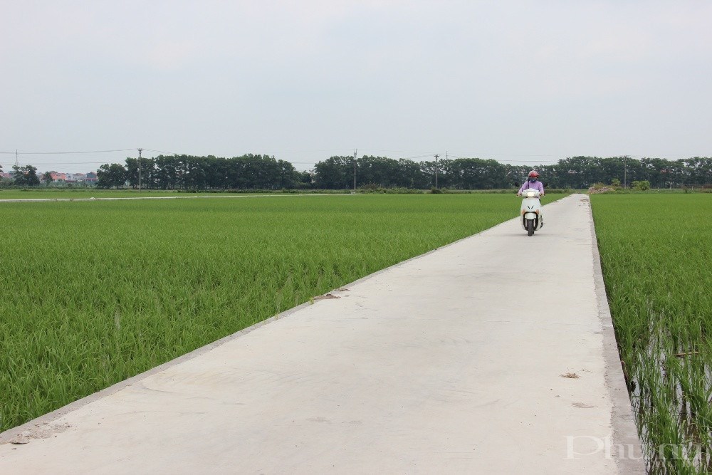 Con đường bê tông trắng muốt nằm xen kẽ giữa những khoảnh ruộng lúa xanh rì của xã Liên Hà (huyện Đông Anh, Hà Nội) có được là nhờ công cuộc xây dựng NTM.