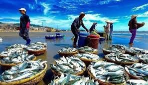 12 doanh nghiệp Việt Nam được xuất khẩu trở lại mặt hàng thủy sản vào Saudi Arabia - ảnh 1
