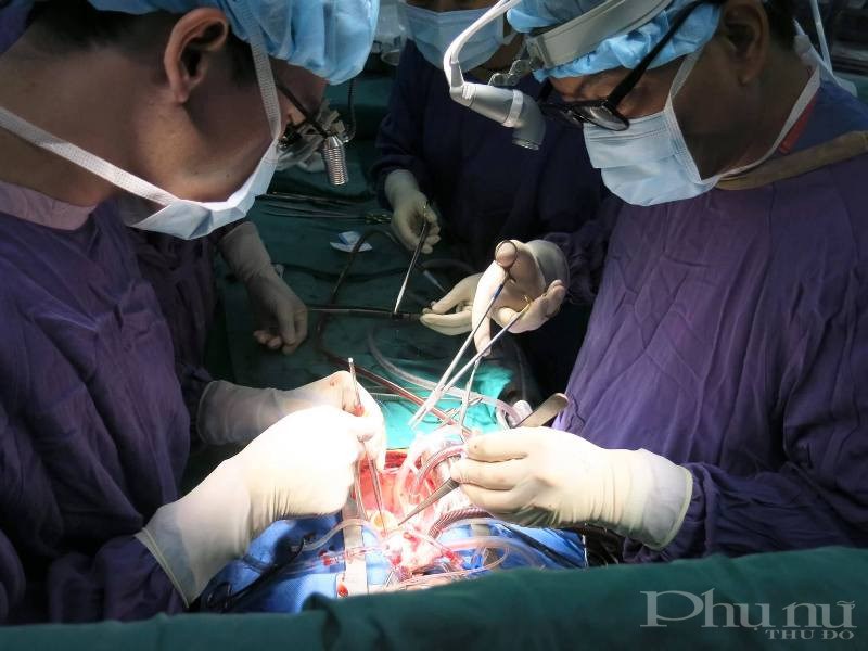 Lần đầu tiên bác sĩ BV Việt Đức thực hiện thành công 2 ca ghép tim trong 2 ngày liên tiếp.