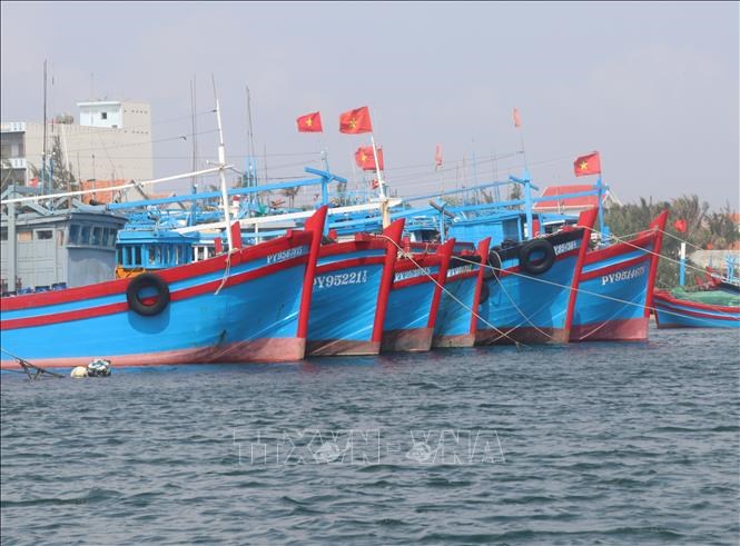 Tàu cá Phú Yên neo đậu tại khu tránh trú bão lạch sông Ngọn, thị xã Đông Hòa. Ảnh minh họa: Phạm Cường/TTXVN