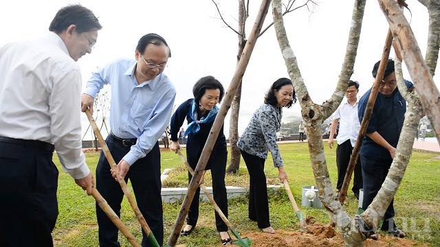 Vinamilk và Quỹ 1 triệu cây xanh cho Việt Nam trồng cây tại Bình Định vào năm 2019.