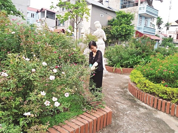 Chị Nguyễn Thị Hằng đang chăm sóc vườn hoa tại khu dân cư