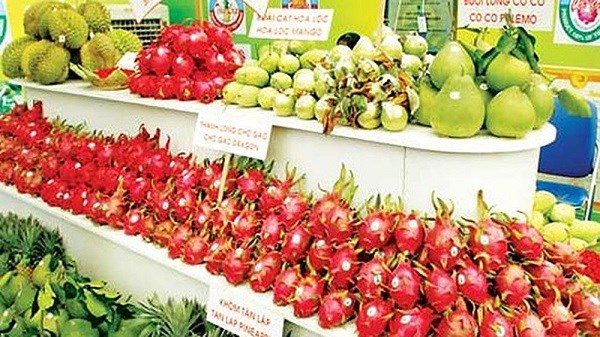 Nhiều loại hoa quả Việt Nam xuất vào thị trường EU