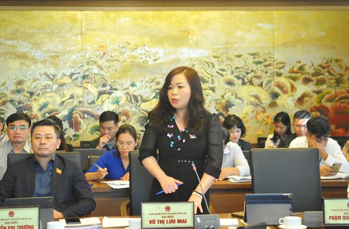 Đại biểu Vũ Thị Lưu Mai phát biểu