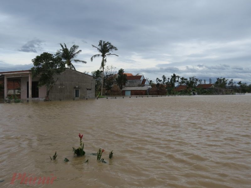 Xóm làng ven sông Trà Câu chìm trong nước
