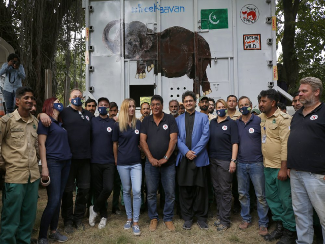 Các nhân viên bảo tồn động vật hoang dã Pakistan cùng các quan chức và chuyên gia từ tổ chức phúc lợi động vật quốc tế Four Paws chụp ảnh bên cạnh chiếc 