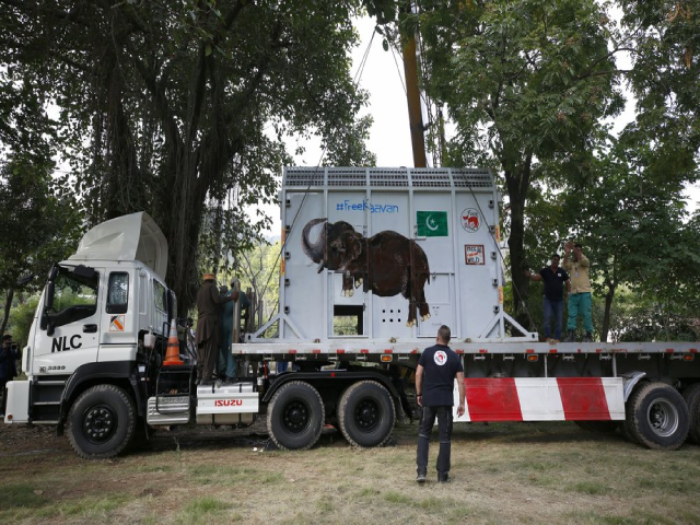 Chiếc thùng chở chú voi Kaavan được chất lên xe tải để bắt đầu hành trình đến một khu bảo tồn ở Campuchia.