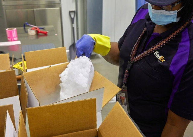 Nhân viên FedEx xử lý đá khô trong kiện hàng vaccine.