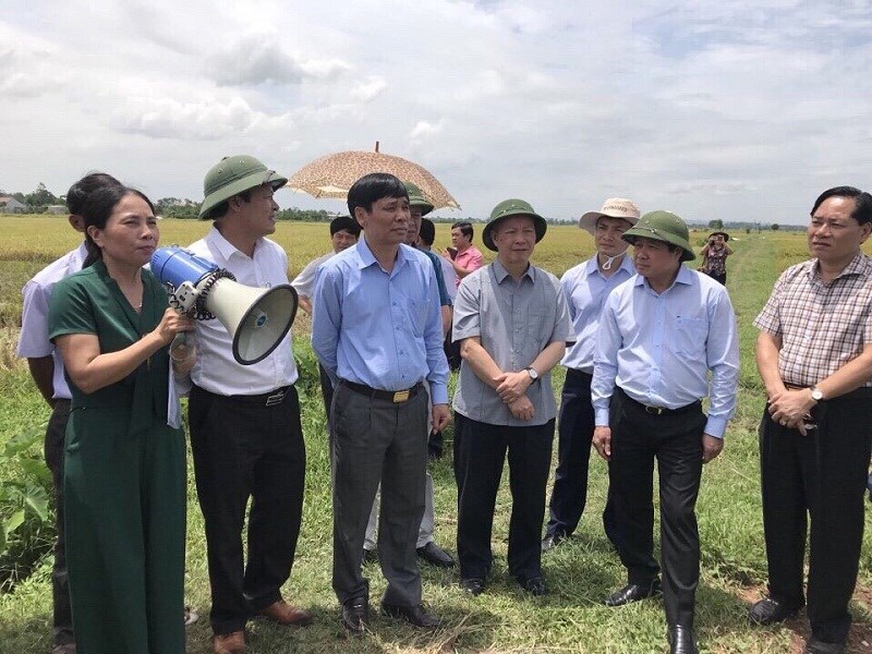 Đoàn công tác của bộ nông nghiệp và PTNT – UBND thành phố Hà Nội về thăm mô hình sản xuất, tiêu thụ lúa theo tiêu chuẩn hữu cơ của HTX nông nghiệp hữu cơ Đồng Phú