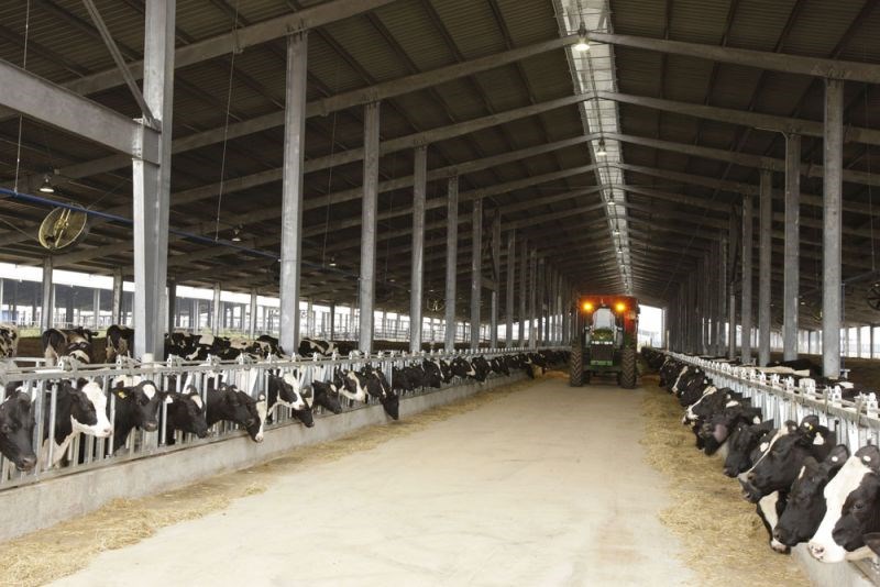 Vững đà tăng trưởng, TH true MILK đón đàn bò sữa cao sản nhập khẩu đầu tiên trong năm 2021 - ảnh 7