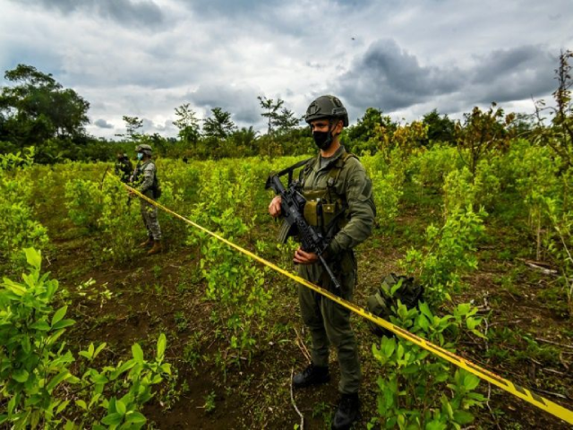 Colombia là nhà sản xuất cocaine hàng đầu thế giới, chiếm khoảng 70% nguồn cung toàn cầu.