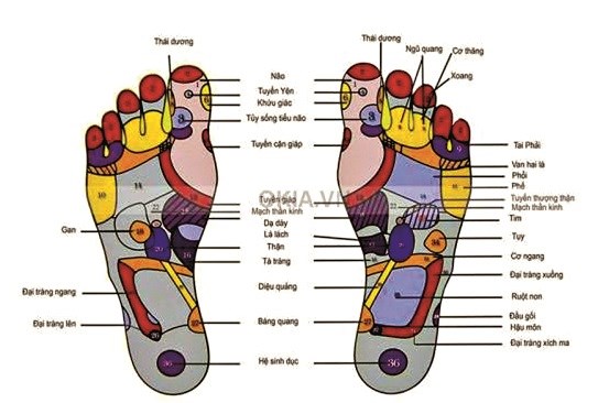 “Ngâm chân” – liệu pháp đơn giản để tăng cường sức khỏe - ảnh 1