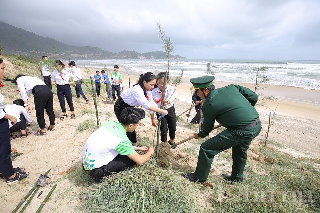 Các học sinh, đoàn viên thanh niên, chiến sĩ bộ đội cùng tham gia trồng cây trong chương trình Quỹ trao tặng 110.000 cây xanh tại tỉnh Bình Định.